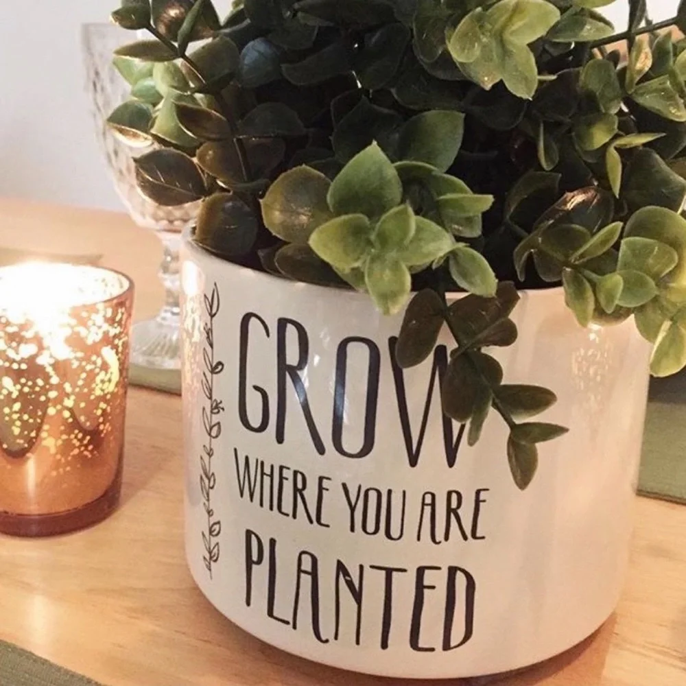 Target | Pot | Grow Where You Are Planted